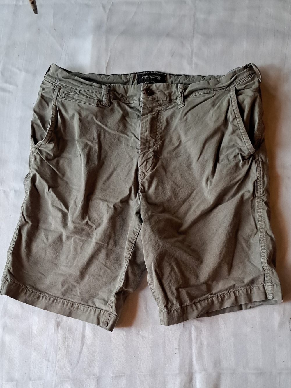 American Eagle Outfitters Men's Olive Flat Front Casual Shorts